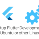 flutter linux